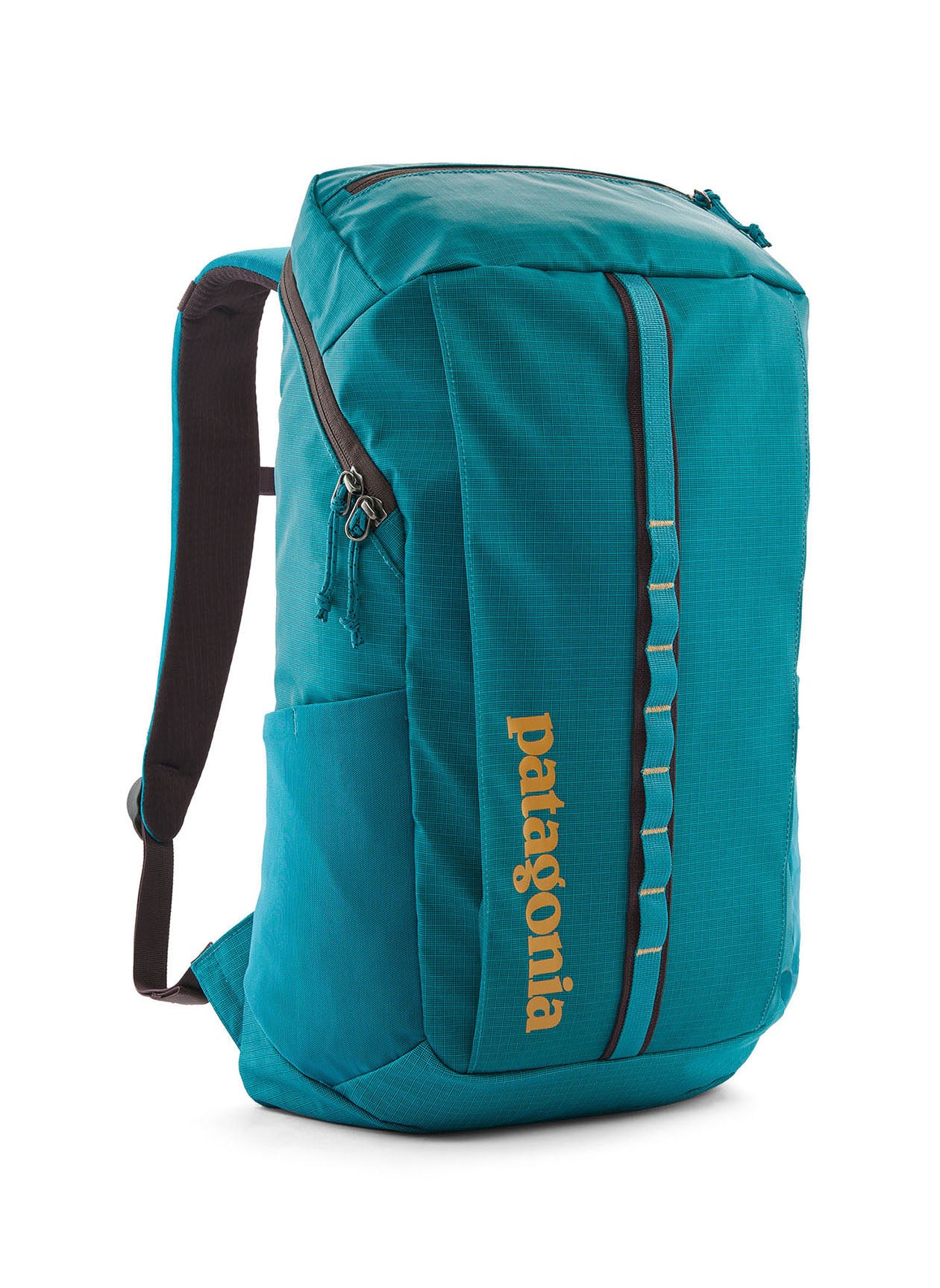 Patagonia Black Hole Pack 25L