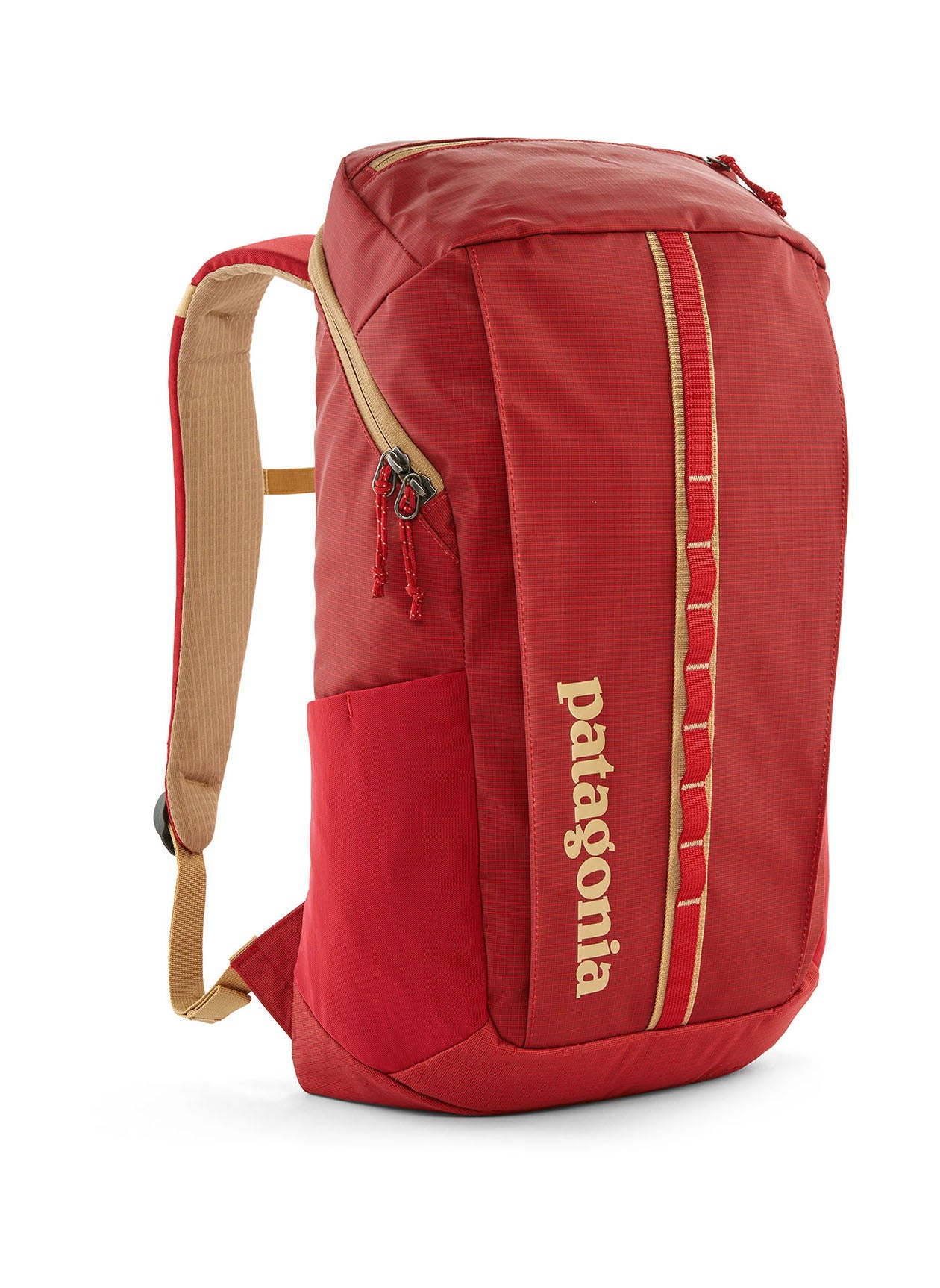 Patagonia Black Hole Pack 25L